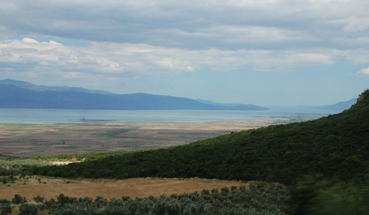 view
